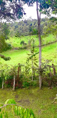 Finca En La Palma Cundinamarca