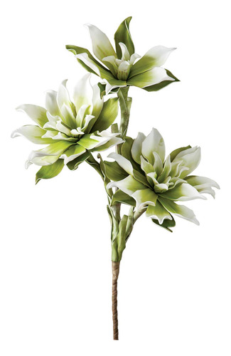 Torre & Tajo 902012 a Desert Rose Lily, Color Blanco/verde