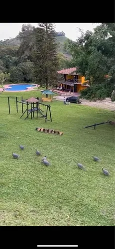 Vendo O Permuto Finca En Bitaco -valle Del Cauca