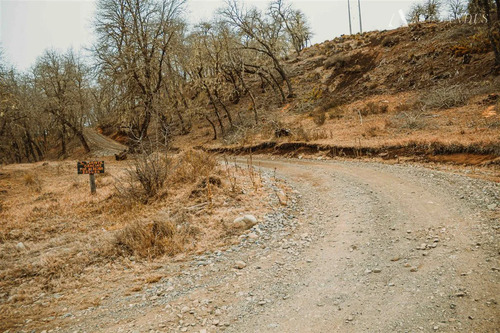 Sitio 5000 Mt2 En Venta En Lonquimay Sector Troyo