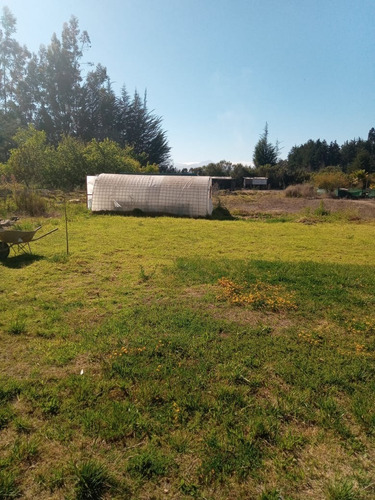 Imagen 16 de 23 de Oportunidad De 2 Parcelas Unidas Con 2 Casas En Vallenar