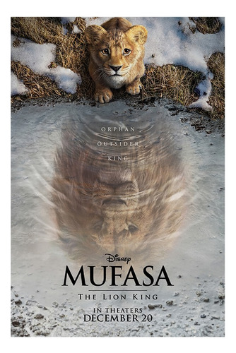 Poster De Mufasa El Rey León
