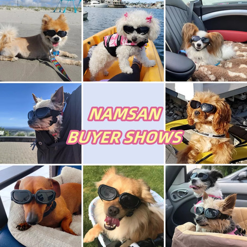 Lentes Impermeables Para Perro