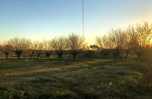 Vendo Casa + Campo 3 Padrones Fraccionados Total 4.8 Hectáreas Montevideo Urbano. Conectado A Saneamiento, Ute, Ose, Antel, Internet. Los 3 Padrones Usd 239.000 Dolares