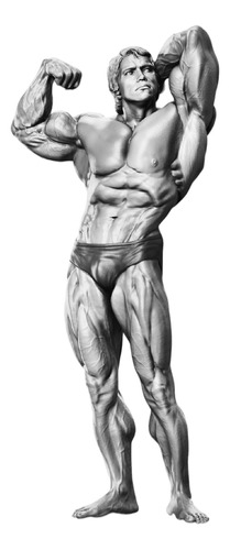 Figura Arnold Schwarzenegger Culturista 20cm