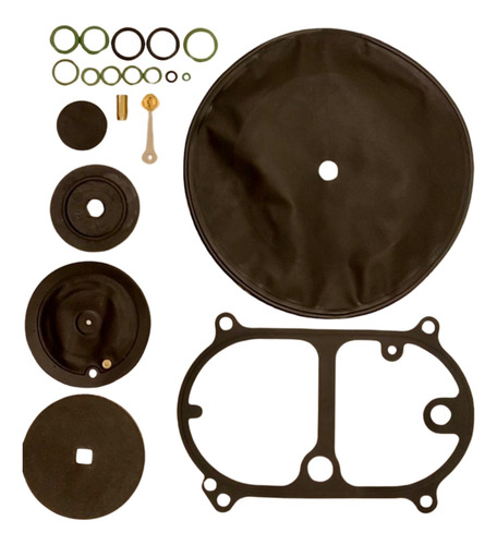 Kit Reparo Redutor Omvl R89/e + R90/e Original Gnv + Nf