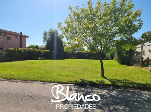 Imagen 1 de 8 de Escriturado! Excelente Lote Interno De 830 Metros En San Isidro Labrador - Villanueva