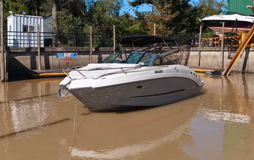 Canestrari 225 Cuddy Volvo Penta 280 Hp V6 Duoprop