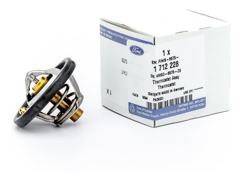Termostato Ford Focus Ii 10/13