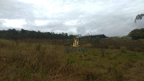 Área À Venda, 139000 M² Por R$ 30.000.000,00 - Taboão - Mogi Das Cruzes/sp - Ar0187