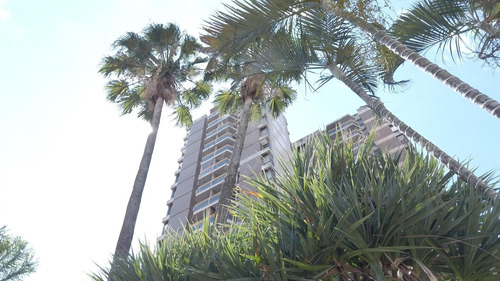 Imagem 8 de 8 de Apartamento Para Aluguel Em Centro - Ap110408
