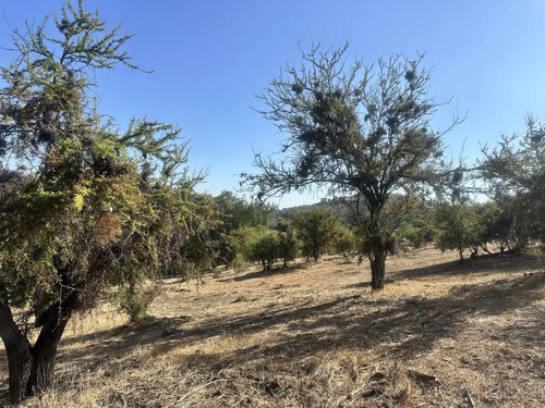Valle Escondido / Sitio Casi Plano