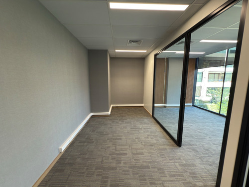 Elegante Oficina Nueva En Av La Dehesa 2 Privados