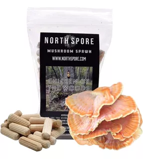 Chicken Of The Woods Mushroom Plugs For Logs (100 Count...