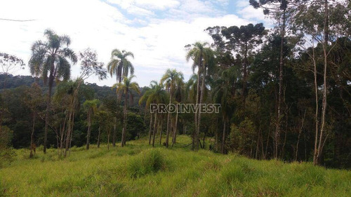 Imagem 1 de 12 de Área À Venda, 21786 M² Por R$ 1.100.000,00 - Jardim Nossa Senhora Das Graças - Cotia/sp - Ar0479