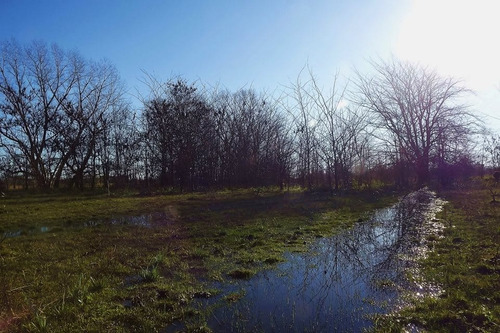 Imagen 8 de 12 de Campo 4 Hectareas Alquiler Cañuelas