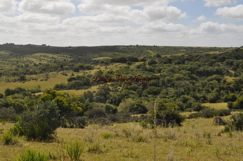 Imagen 2 de 30 de Venta Chacra 5 Has Ubicada En Jose Ignacio Proximo A Garzon