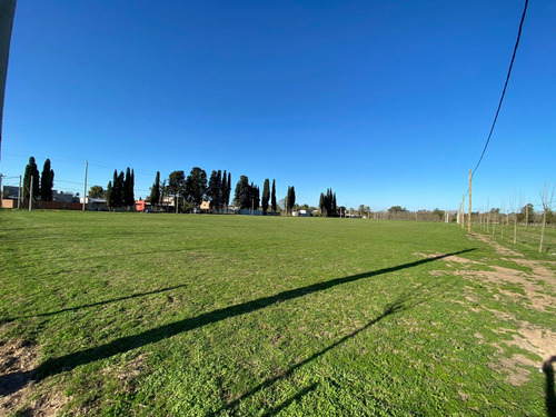 Terreno En Venta En Lobos
