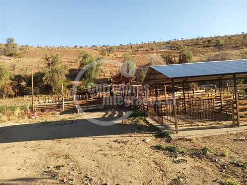 Agrícola En Venta En Combarbalá