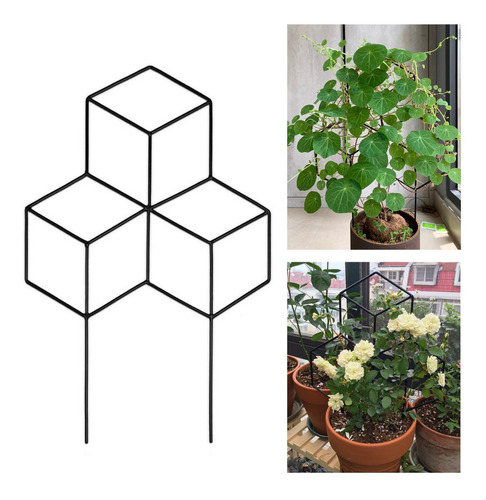 Imagen 3 de 12 de Enrejado De Plantas En Maceta Para Plantas Los 45x30cm