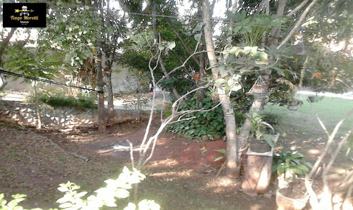 Imagem 23 de 29 de Ótima Chácara Localizada Em Bairro Muito Próximo Do Centro De Boituva - Ch00082 - 34133600