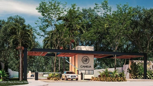 Imagen 3 de 7 de Terreno En Venta Carretera Cholul Santa Maria Mt 22-2201