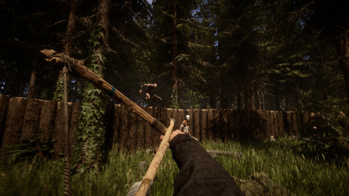 Sons Of The Forest | Pc | Steam | Digital