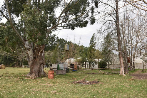 Imagen 12 de 16 de Campo De 49 Has. En La Criolla