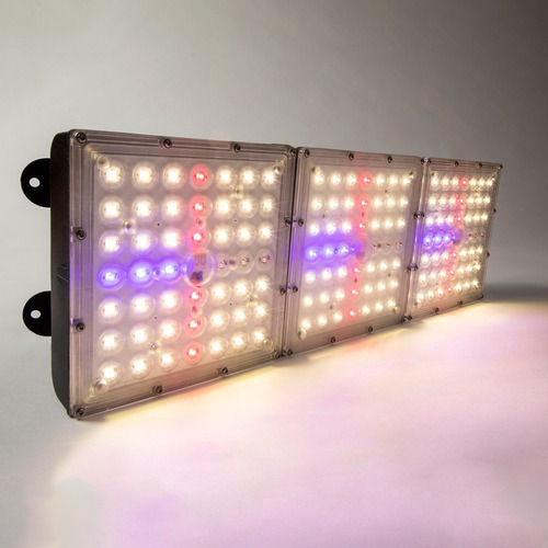 Imagen 3 de 8 de Luminaria Cultivo Led Samsung 260/600w Insativa-3