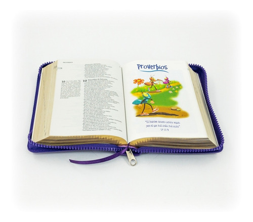 Imagen 3 de 3 de Nuestra Sagrada Biblia Católica Infantil