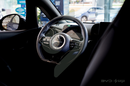 Dolphin Mini Ev