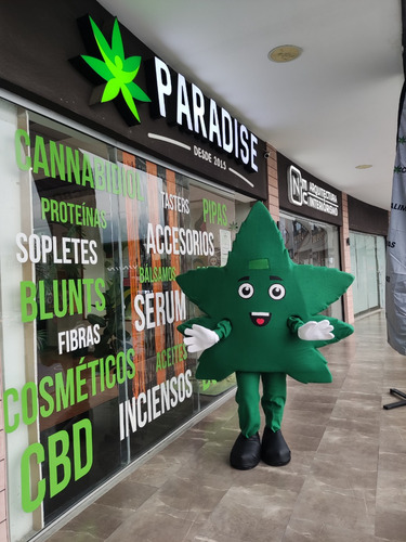 Traspaso Franquicia Paradise Equipada Y Operando Al 100%