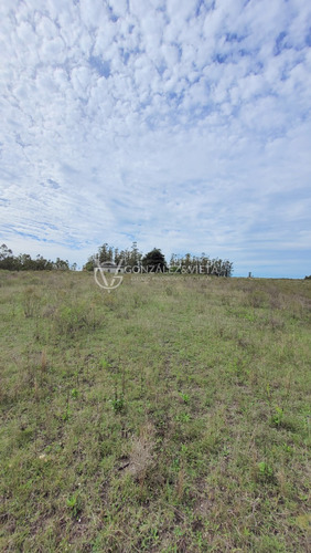 Venta Campo Sauce Totoral Canelones 9 Hectáreas Y Media Agricola Ganadero Ruta 86