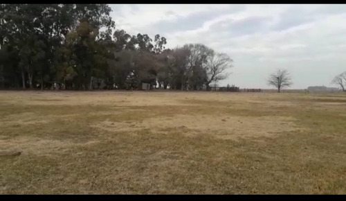Campo Ganadero : Saladillo ,57,37 Hectáreas