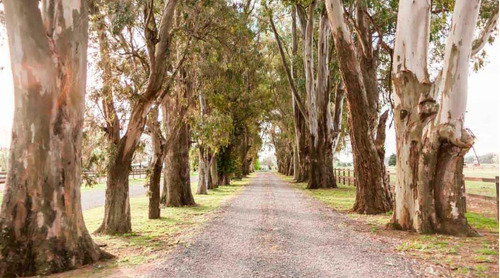 Terreno - El Campo - Fincas Exclusivas Cardales