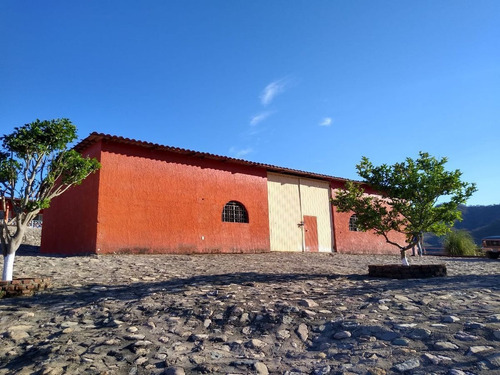 Las Bugambilias Talpa De Allende.