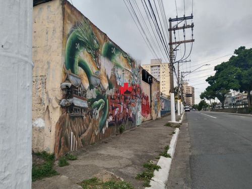 Imagem 4 de 5 de Terreno Na Avenida São Miguel - Penha - Pe36023