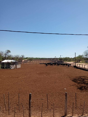 Campo En Venta En Paso Viejo, Dpto Cruz Del Eje. 4.700 Hts. U$s 700 C/hts.