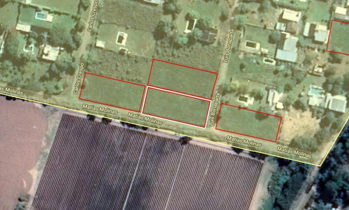 Imagen 2 de 2 de Terreno - La Capital
