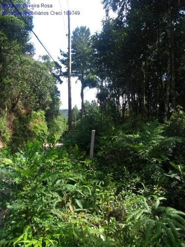 Imagem 5 de 9 de Terreno - Te00046 - 69207640