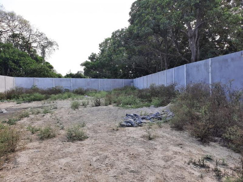 Venta Terreno 1275 M² Col. Cruz Naranjos Tuxpan Veracruz