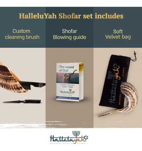 Cuerno De Carnero Shofar Halleluyah De 14 A 16 Cm, Kosher, I