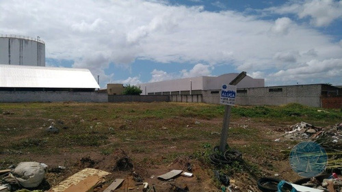 Imagem 5 de 7 de Terreno Com 3.000mº No Golandim - L-10838