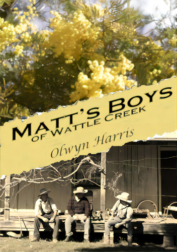 Matt's Boys Of Wattle Creek, De Harris, Olwyn. Editorial Lightning Source Inc, Tapa Blanda En Inglés