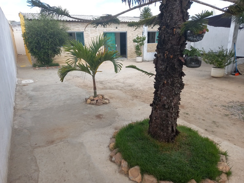 Casa A Venda Em Garanhuns 3-quart.,2-banheiro,grande.terr
