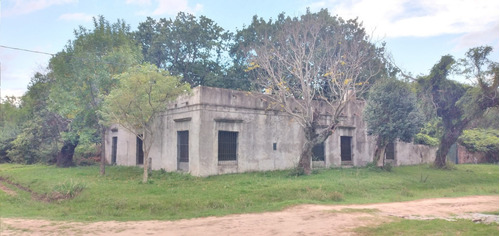 Imagen 14 de 14 de Chacra 12 Hectáreas Con Plantación De Pecanes