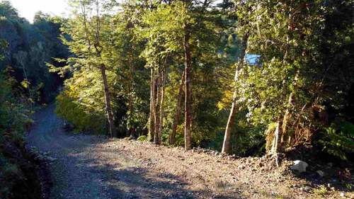 Subdivisión De Parcelas De 5.000m² A 25 Min De Puerto Varas