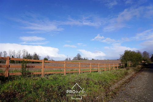 Terreno 5.000 M2 En Venta En Paillaco