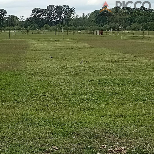 Imagen 2 de 5 de Excelentes Lotes En San Vicente Con Financiacion!!