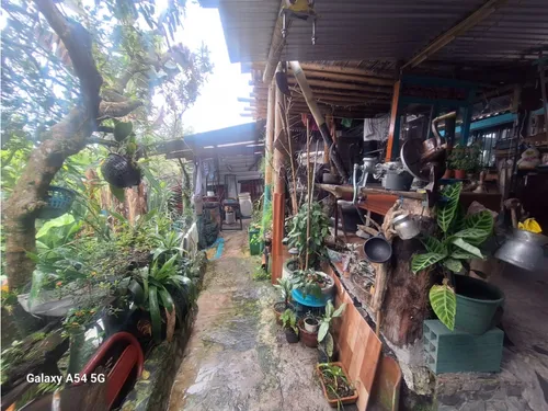 Venta Casa Campestre Salento. Quindío - Colombia Cod: 9054527